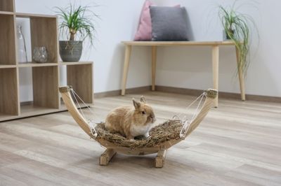 Hängmatta Hammock för Kanin 73 x 36 x 34cm