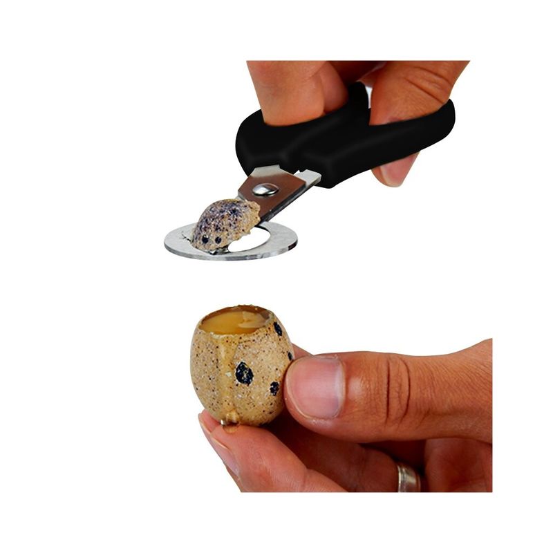 Sax för Vaktelägg Svart