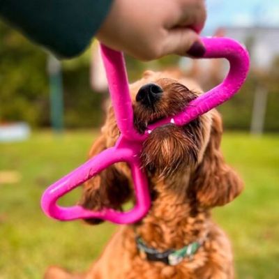 HiyqBioAJDkiEO41764327383