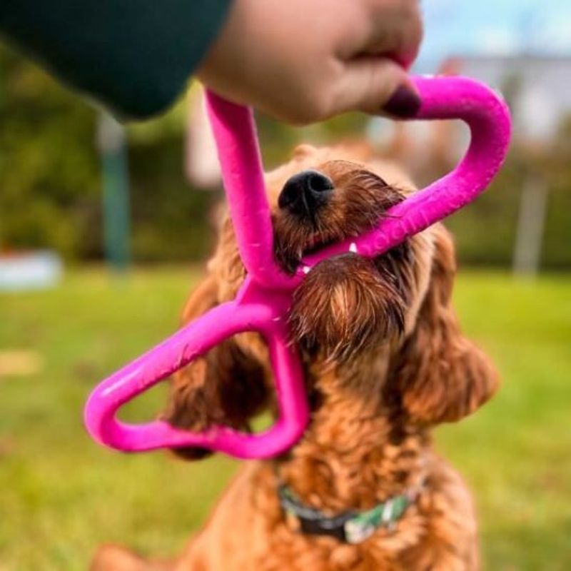 Fiboone Dragkampsleksak