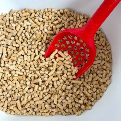 Hk0QrxE7clezSVk1764325868