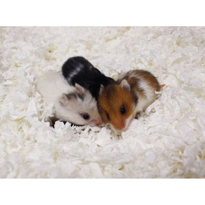 HyiOErxh6WiTTjv1764325635