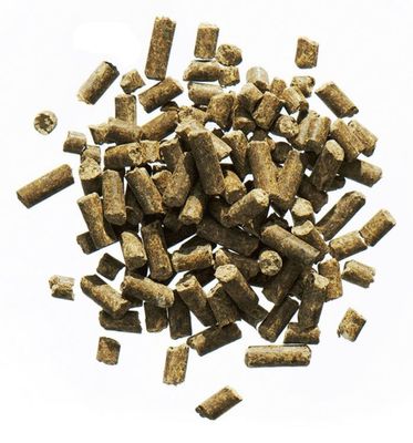 I1cz4mC4I3965Hj1764324631