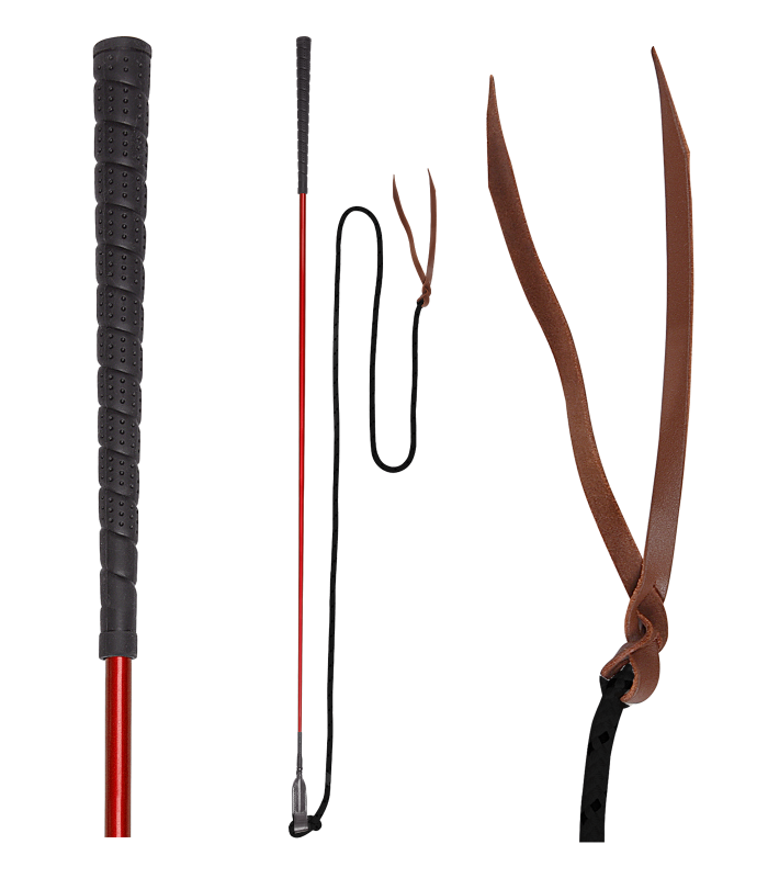 Contact stick Horsemanship