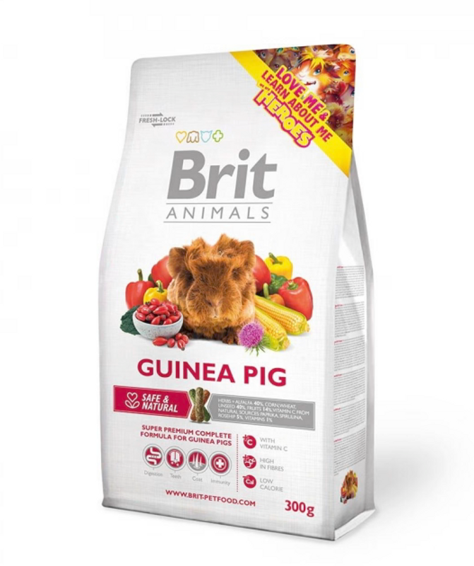 Brit Animals Marsvin