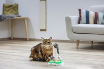 IXOkGOhrZ3LiV3o1764327091