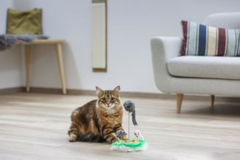 Kattleksak Mus på fjäder 25cm