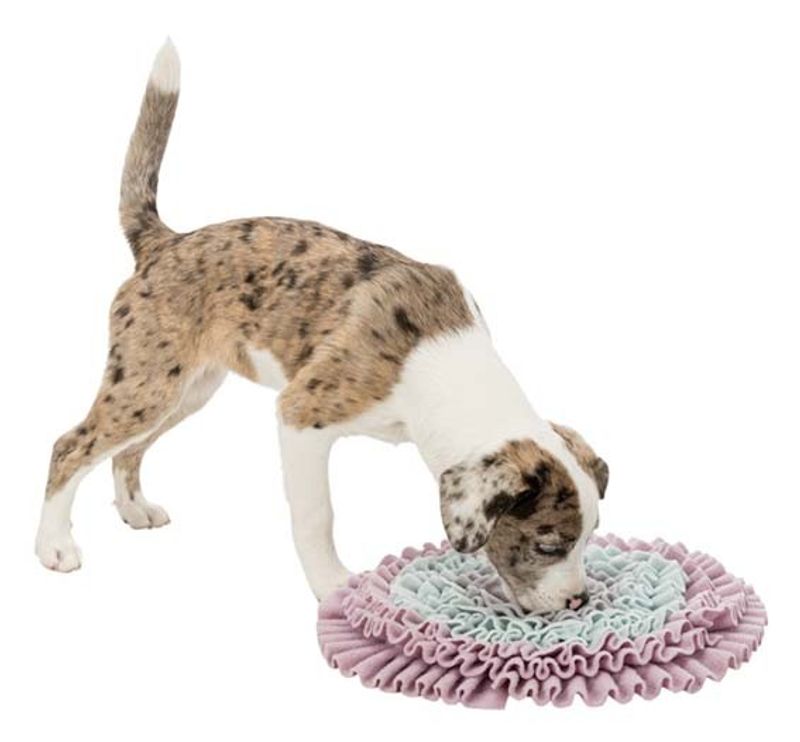 Junior Sniffling Carpet