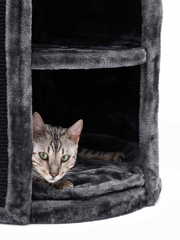 Klöstunna Superdome 100