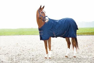 Turnout rug 200g Navy