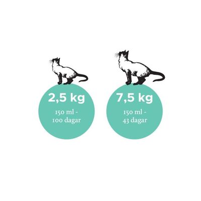 K5FWzlX2eIHZEIU1764327803