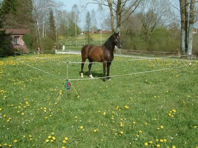 Portabelt Elstängselkit