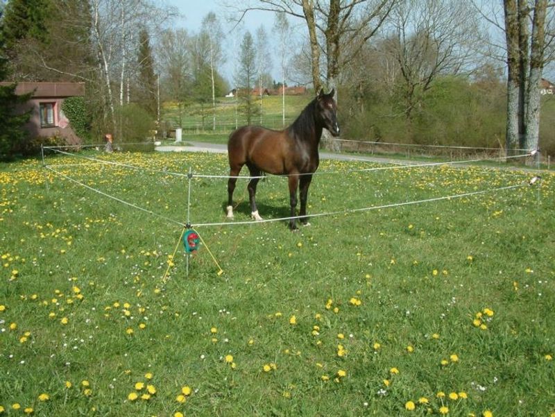 Portabelt Elstängselkit