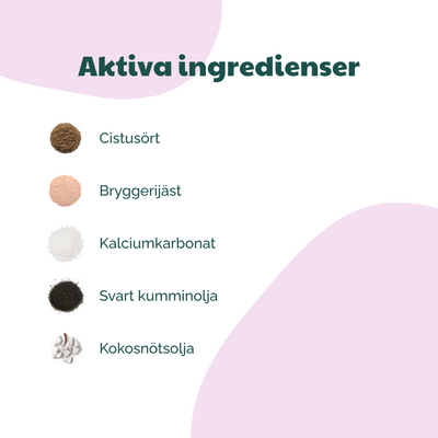 Buddy Tick & Flea Defence