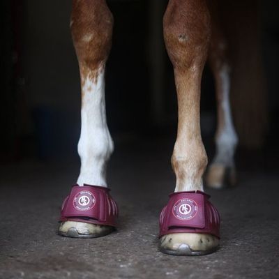 OHO0V3yf0B4DoYQ1764327735