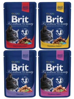 OIhgMJ6DQznryyj1764324206