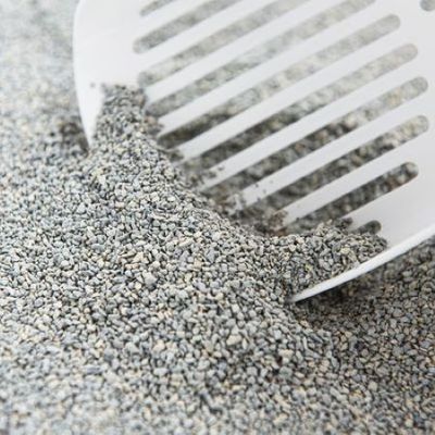 Kattsand Odourlock Maxcare