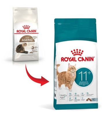 OlgZfs43tbSRlOc1764325453