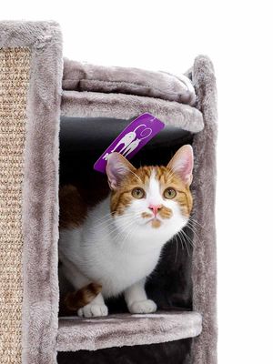 Klöstunna Superdome 100