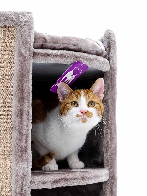 Klöstunna Superdome 100