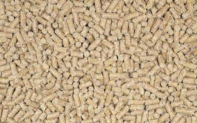 LJ9782mdMa2gKsT1764326265