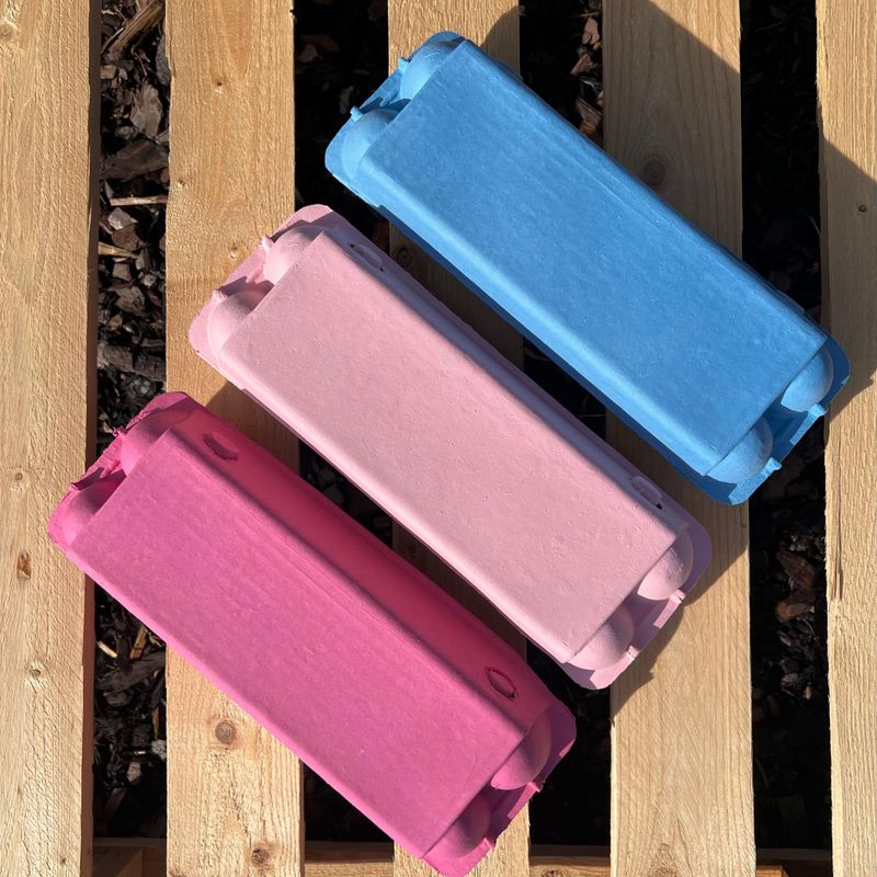 Äggkartong 12-ägg Färgad