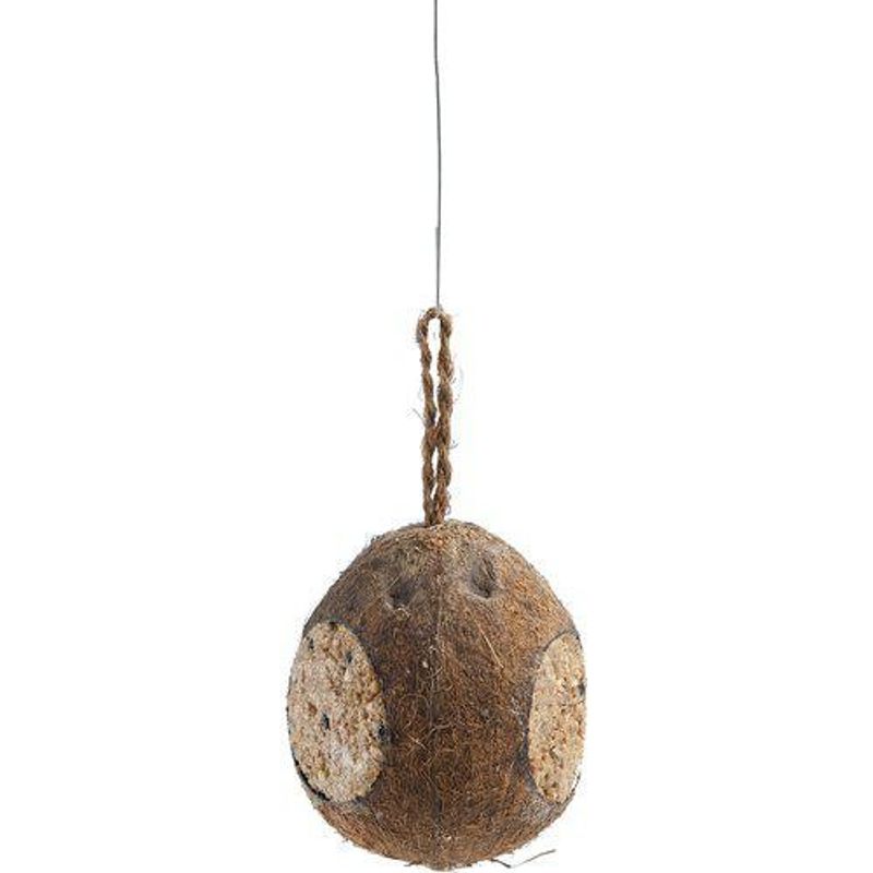 Vildfågel Kokosnöt m tre öppningar