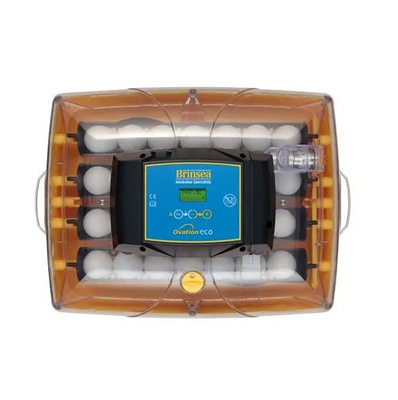 LtBfuxBfeQba8Fc1764325787