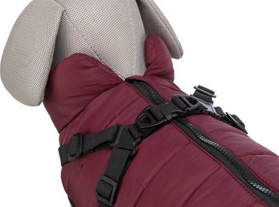 M3v3r3zlVEEYAIk1764327719