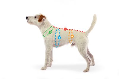 Pomppa Toppa Värmetäcke Curry