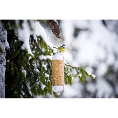 Fågelmat Leo & Wolf Talgkorv Insekter 600g