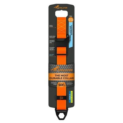 Evolutor Hundhalsband One Size 25mm 25-70cm (Orange)