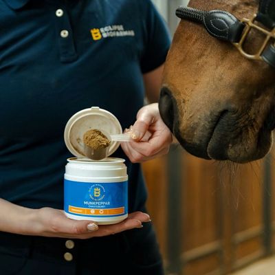 Munkpeppar Biofarmab