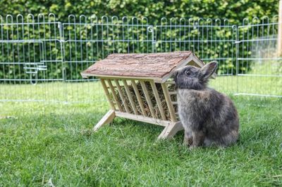 MeMYMI8yQwvhWzP1764326566