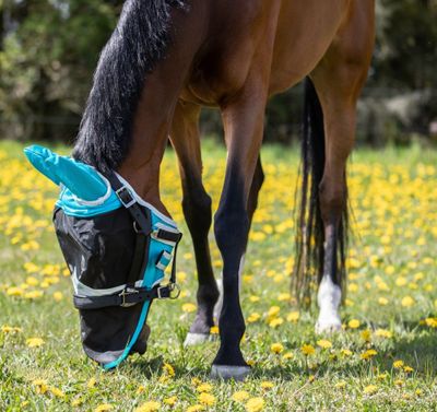 MzAaZnQL0Uvq4xN1764326533