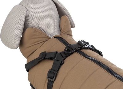 N6h2XOigCAGik891764327723