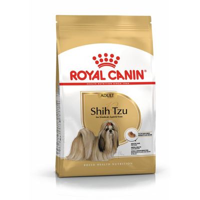 RC Shih Tzu Adult