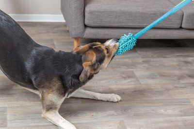 NRXypmAPl2AHDxt1764326475