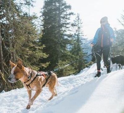 Non-Stop Koppel Touring Bungee Grå/svart