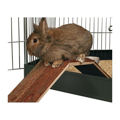 NitQjZSd19LMzDG1764324370