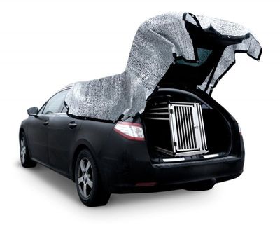 NjohiT8gQRKzQm81764325933