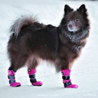 Finnero Hundsko HALLA