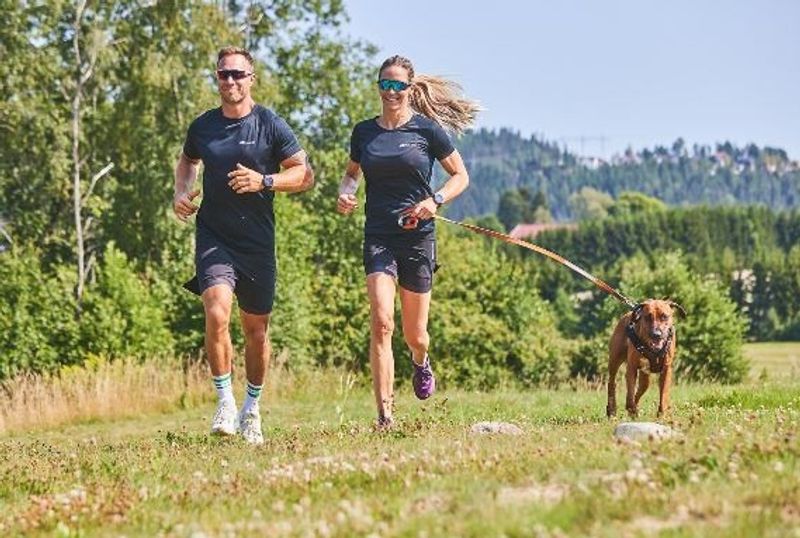 Non-Stop Move Leash Grön