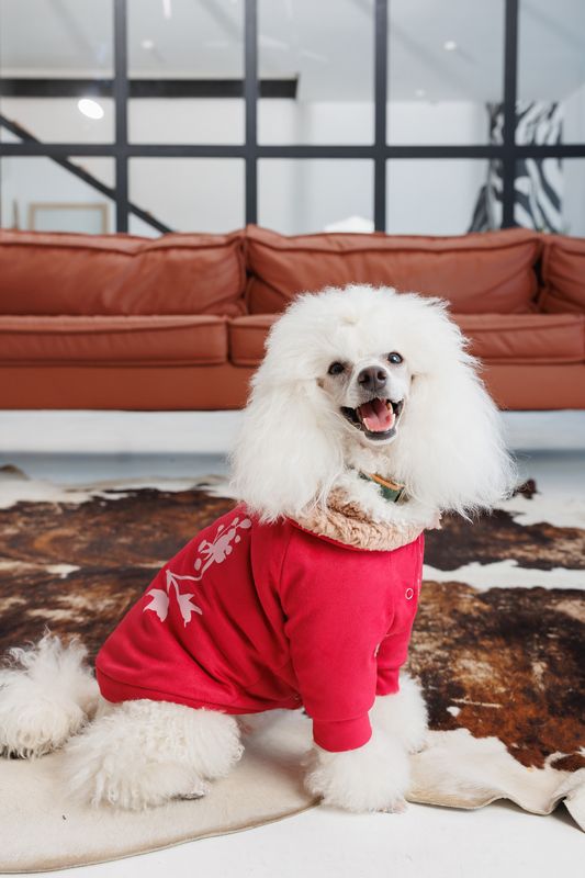 BuddyBoo Hundtröja Garcia