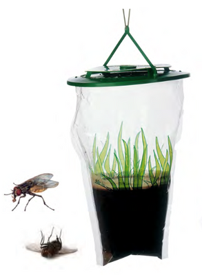 SWwNZv4oHG8aYbn1764325971