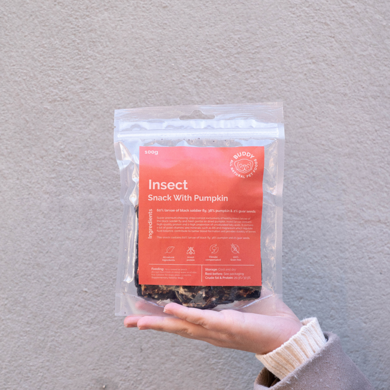 Buddy Insect Snack with Pumpkin 100g