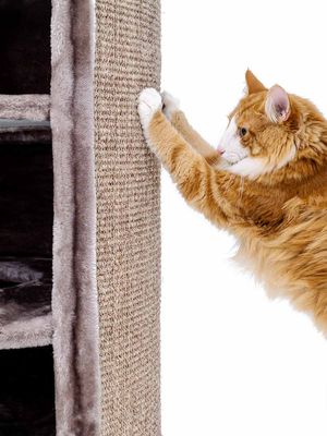 Klöstunna Superdome 120