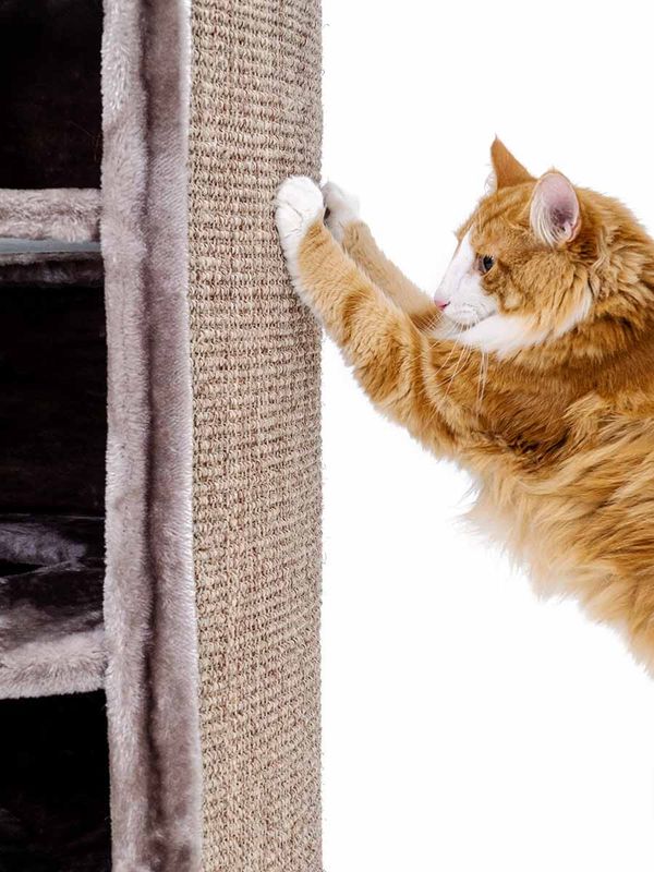 Klöstunna Superdome 120