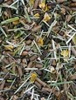 P6IhB3rzstzM8Bx1764325834