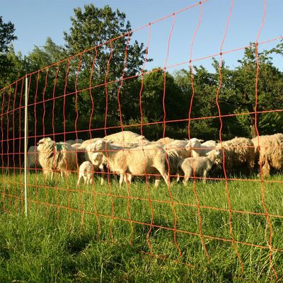 Q5ecPQaYRm3RLpU1777465885